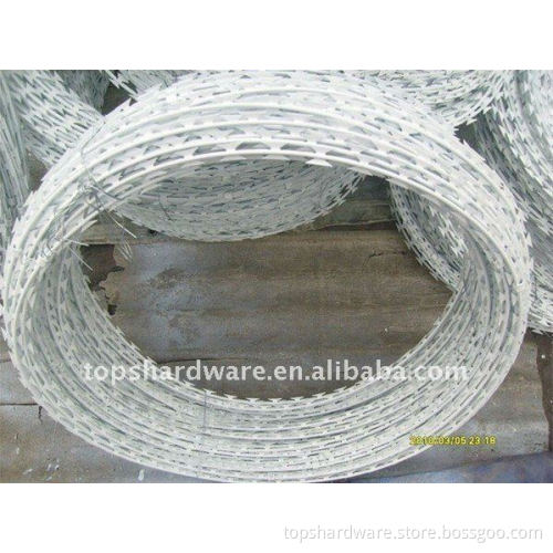Concertina electro Galvanized Razor Wire
